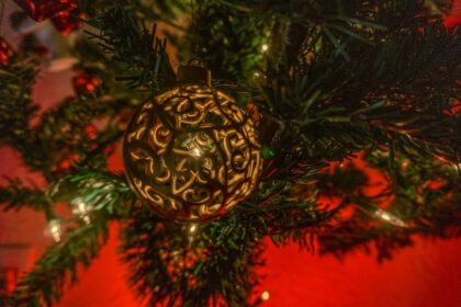 Choose the Perfect Christmas Tree for Joyful Memories