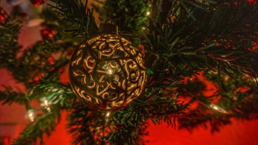 Choose the Perfect Christmas Tree for Joyful Memories