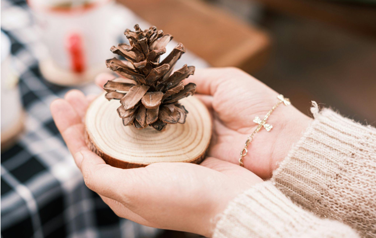 The History of Blue Christmas Trees