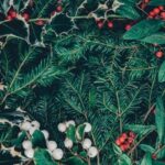 The 2022 Top Picks for Artificial Christmas Trees