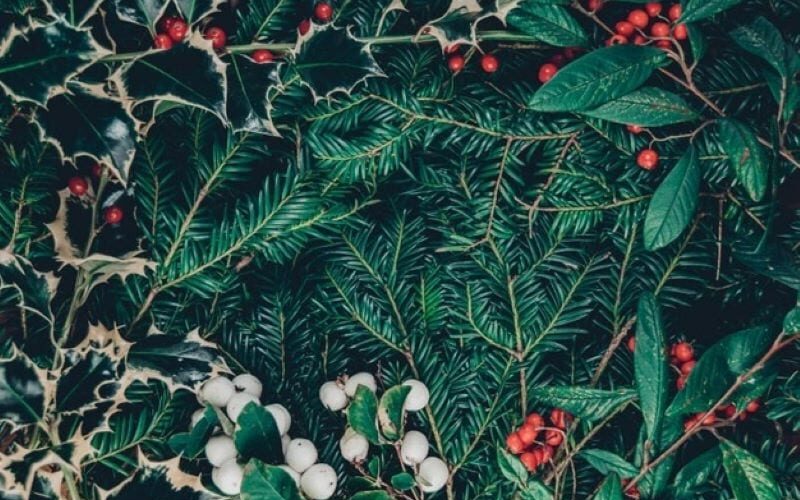 The 2022 Top Picks for Artificial Christmas Trees